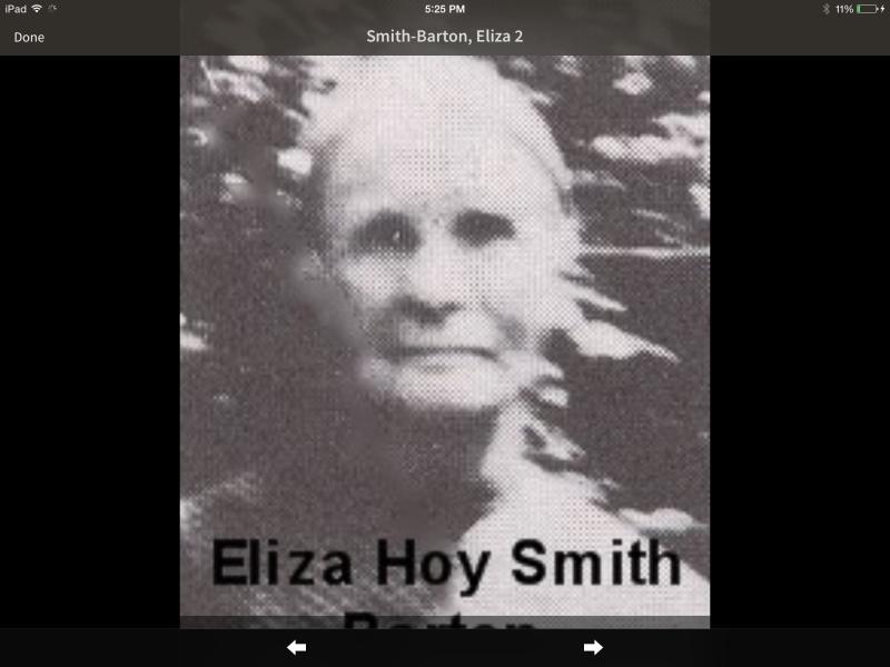 Eliza Fish Hoy (1856 - 1937) Profile
